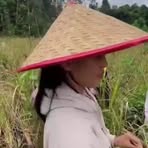 Zun Lin - Facebook