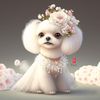 Zun lin - @lin10944 - TikTok