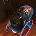 Zuri Brown - Facebook