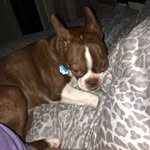 Zuri - @zurileanne - Instagram
