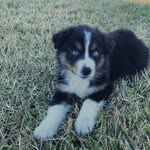 Zuri!! - @zuri.mitchell2 - Instagram