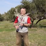 Zvi Levin - @zvi.levin.3 - Instagram